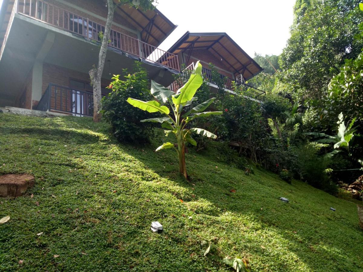 3Arch Eco Cottage エッラ エクステリア 写真